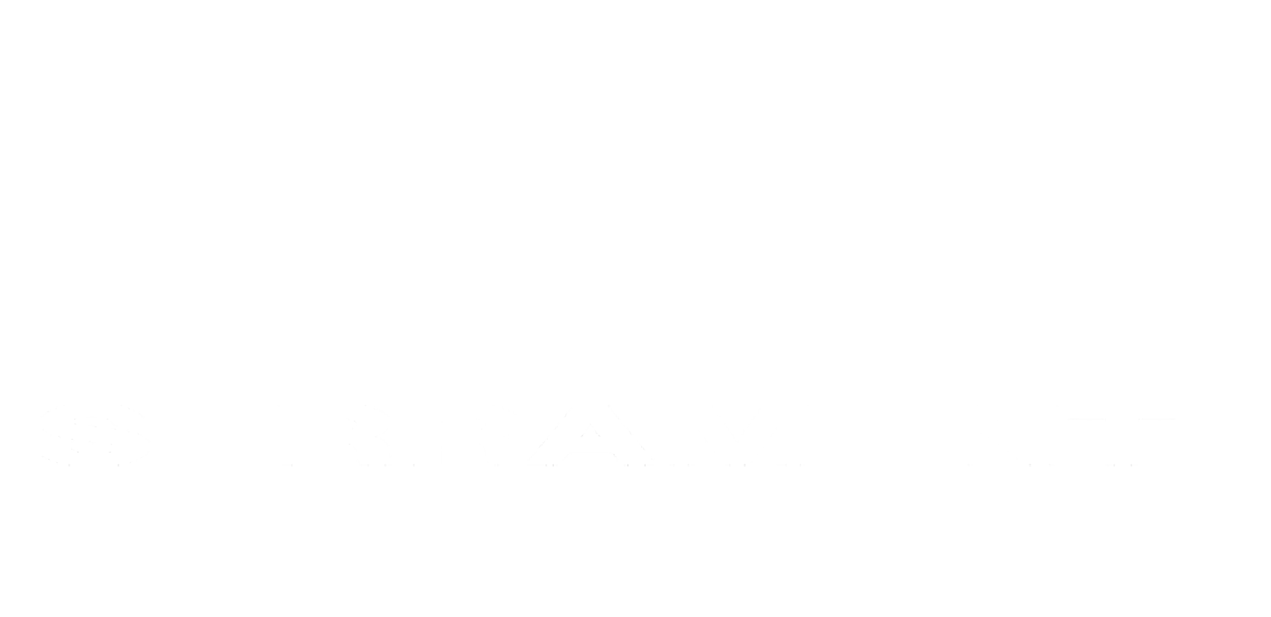 Logo DISI snc di Fagotto Renato e Furlan Rene'